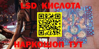 прущие грибы Краснодар