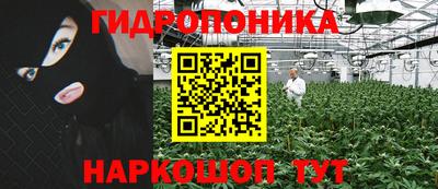 spice Краснознаменск
